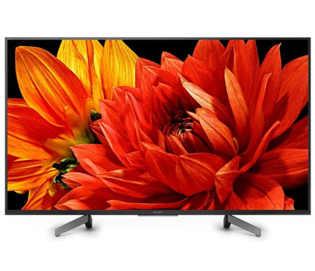 Sony KD-49XG8396 - 507599 - zdjęcie